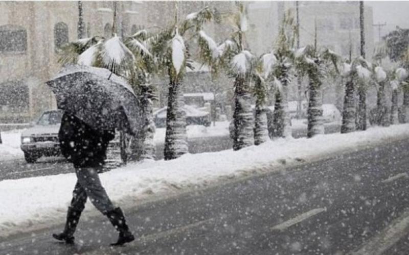 عطلة "هدى".. حجاب لتغطية كفاءة الحكومة