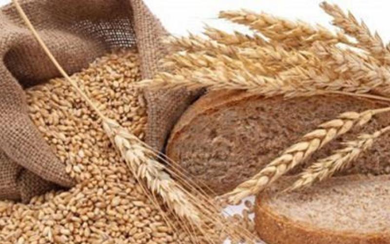 إصابة 1.5% من سكان المملكة بحساسية القمح