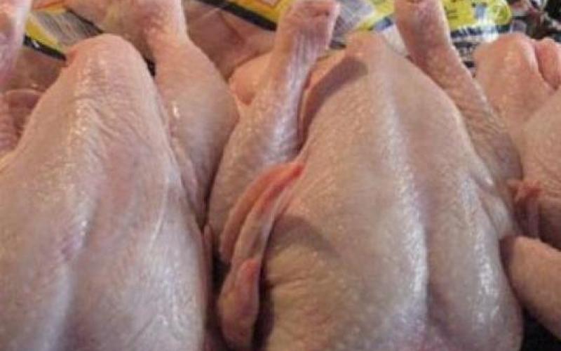 قضية الدجاج الفاسد أمام المدعي العام.. واستمرار دعوات المقاطعة