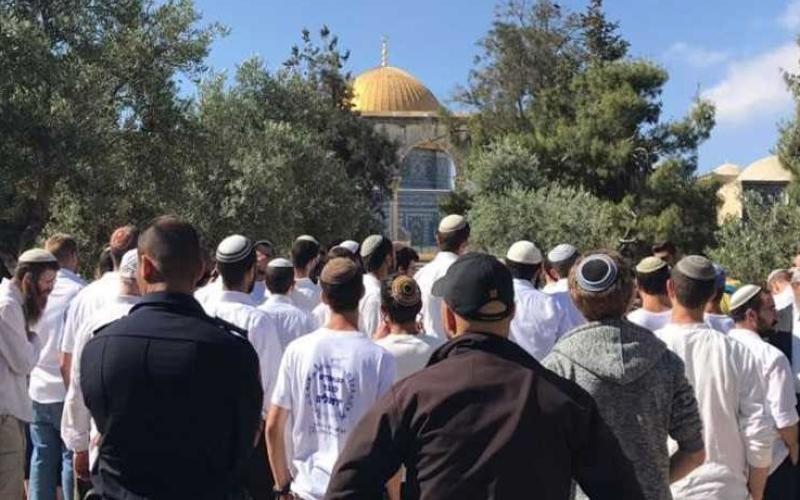 69 ألف مستوطن اقتحموا الأقصى منذ 2009