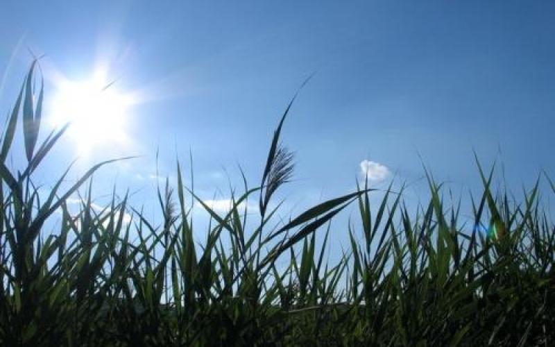 أجواء حارة نسبيا والعظمى في عمان 32 درجة