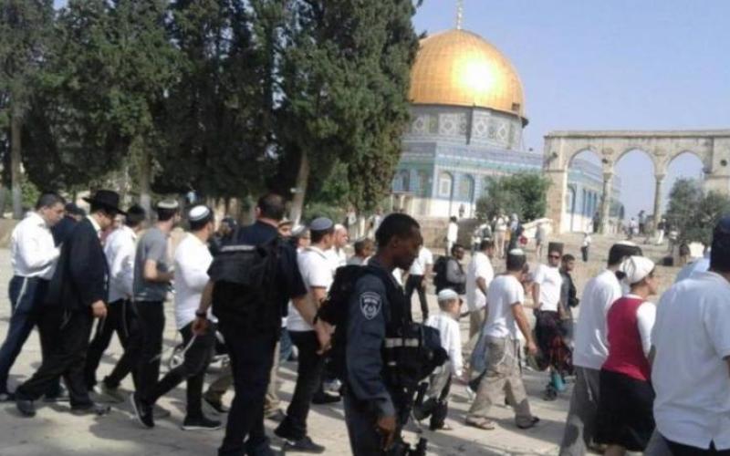 مستوطنون يجددون اقتحام الأقصى