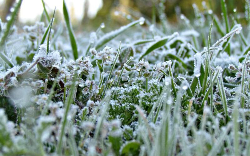 انحسار المنخفض الجوي وتحذير من تشكل الصقيع