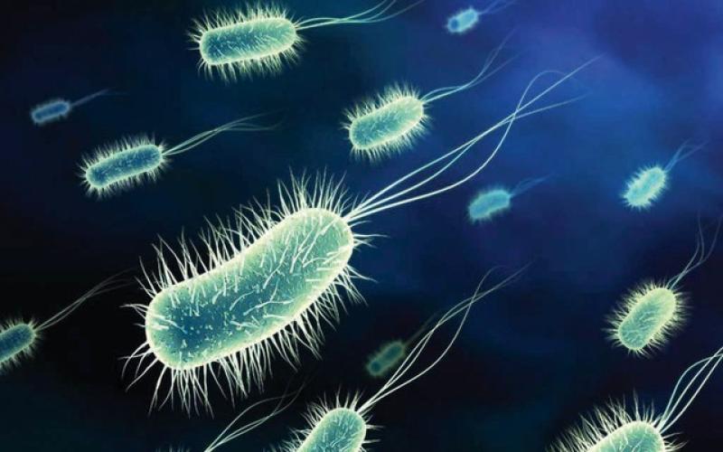 إغلاق فندق في البحر الميت واخلاء 164 نزيلا بسبب تلوث المياه