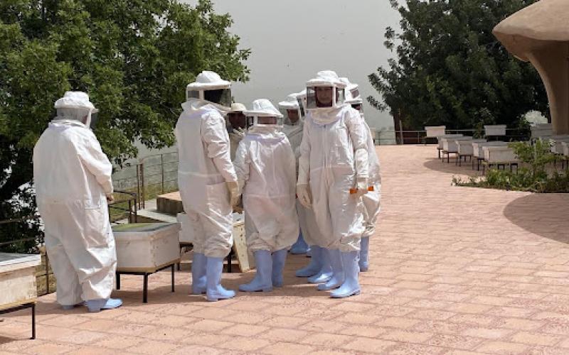 الصورة من مدير محمية اليرموك - محمد ملكاوي