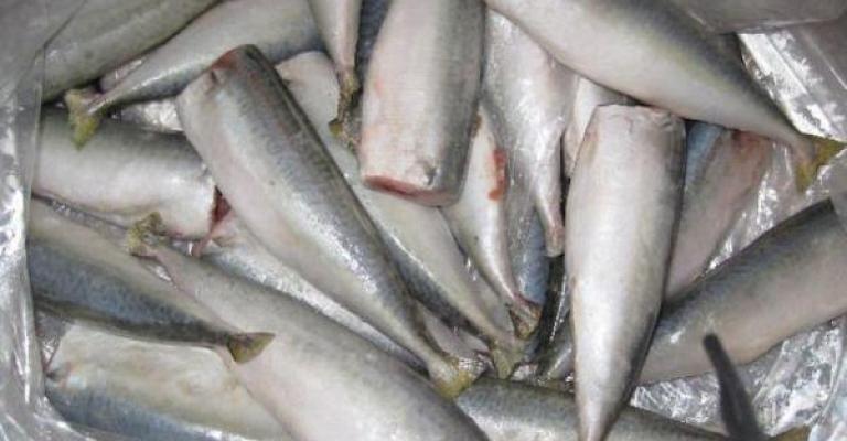 "الغذاء والدواء": ديدان السمك مصدرها خلل في العرض