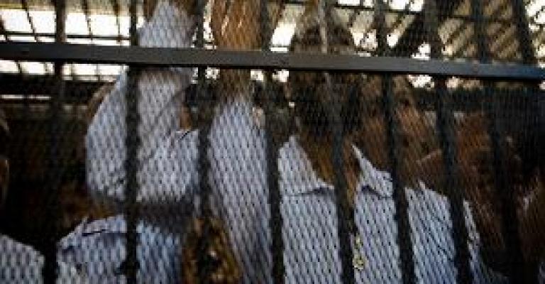 العثور على اردني فقد في العراق قبل 10 اعوام