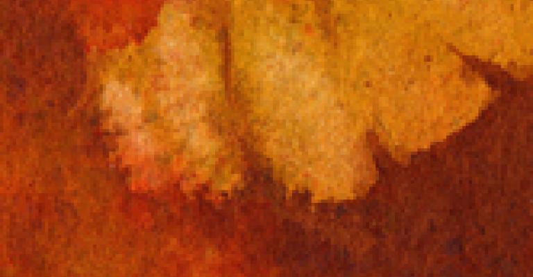 طبعة جديدة لكتاب العشاق الثلاثة للاديب زكي مبارك