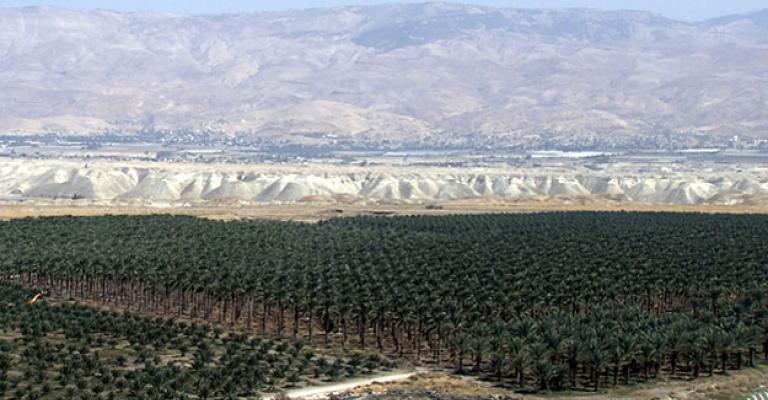 مصير غور الأردن حيوي لنجاح المفاوضات الفلسطينية الاسرائيلية مصير غور الأردن حيوي لنجاح المفاوضات الفلسطينية الاسرائيلية