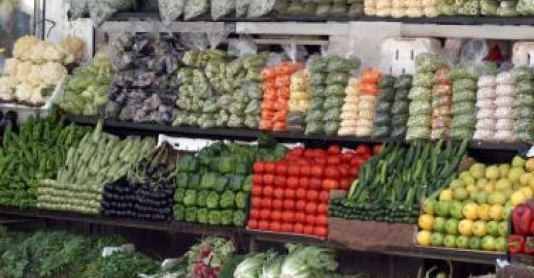 توقعات بارتفاع اسعار بعض انواع الخضار توقعات بارتفاع اسعار بعض انواع الخضار