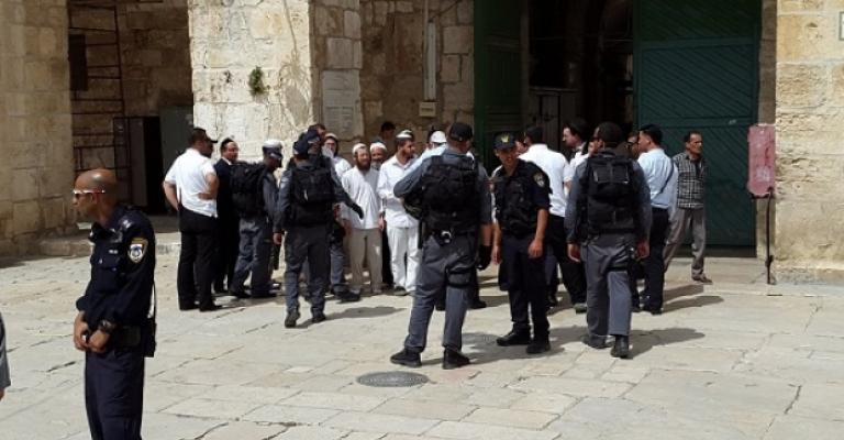 مجموعات كبيرة من المستوطنين تقتحم الأقصى مجموعات كبيرة من المستوطنين تقتحم الأقصى