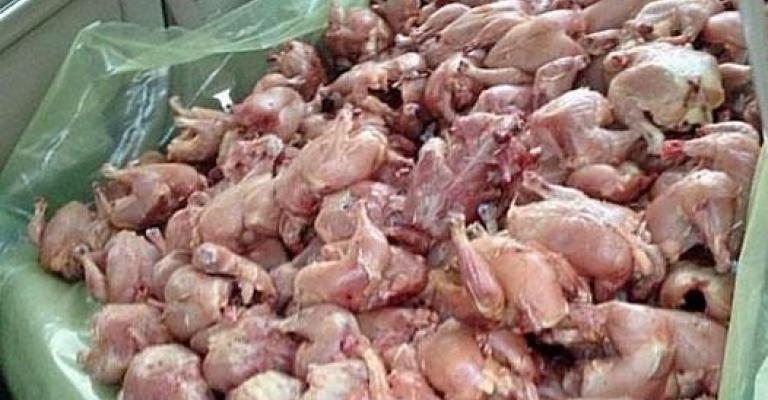 إتلاف 3 أطنان مواد غذائيّة غير صالحة للاستهلاك في إربد