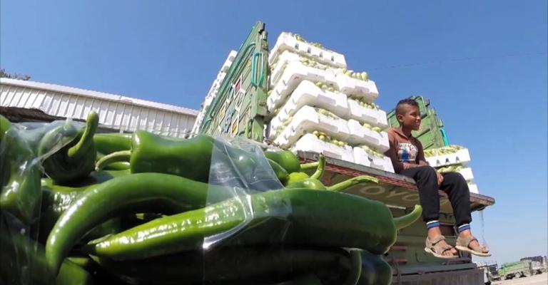 العوران: ارتفاع اسعار الخضار بمثابة ناقوس خطر