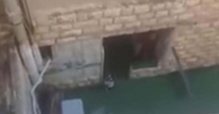 إغلاق حضانة بعد الإساءة لطفلة