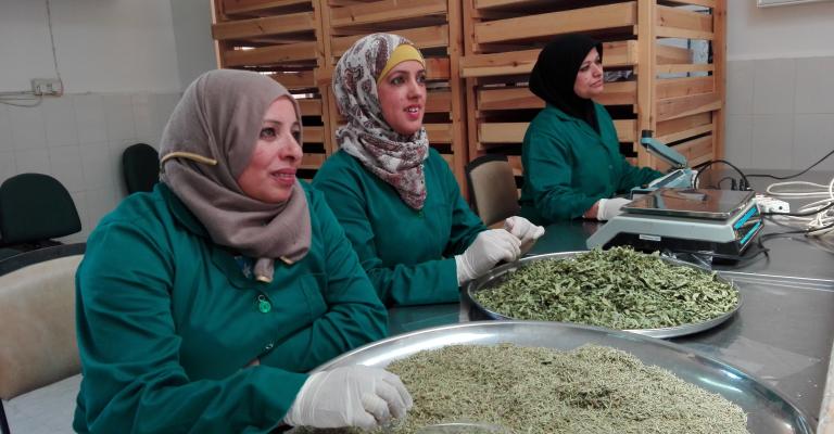 ضانا.. مساحة خلابة لتمكين المرأة