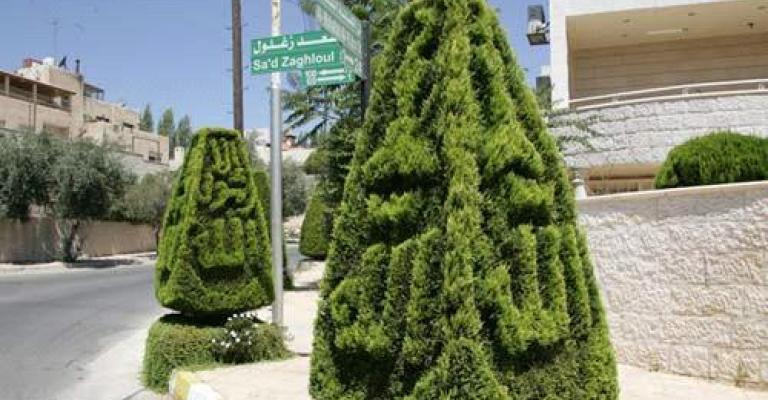 الأمانة تقلم الأشجار استعدادا لفصل الشتاء