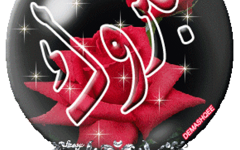 دعاء فيصل تحصل على البكالوريس طب الاسنان 