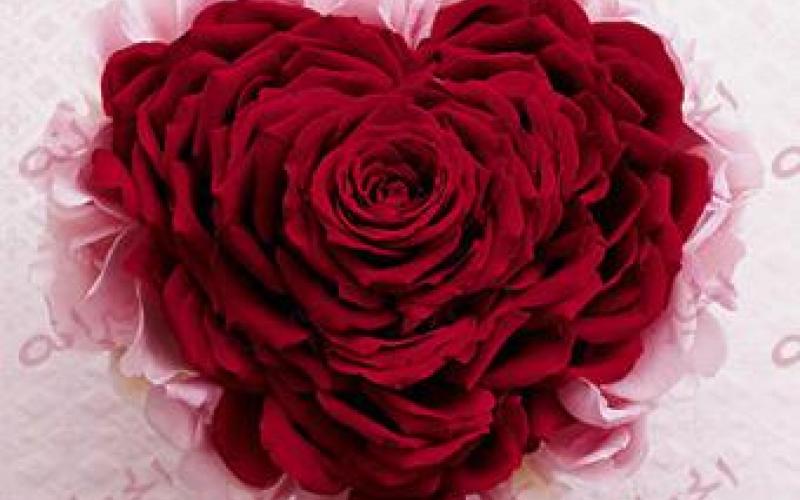 الزميل معاذ فريحات يرزق بخالد