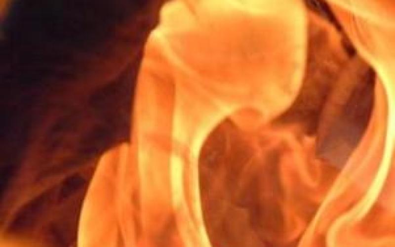 الدول تتحمل مسؤولية انتحار مواطنيها حال إعلانهم