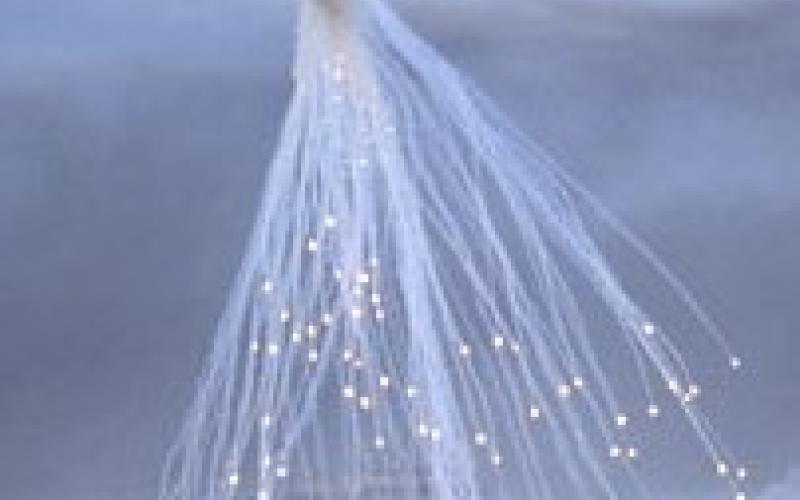 إسرائيل تقصف البيئة الأردنية بالقنابل الفسفورية