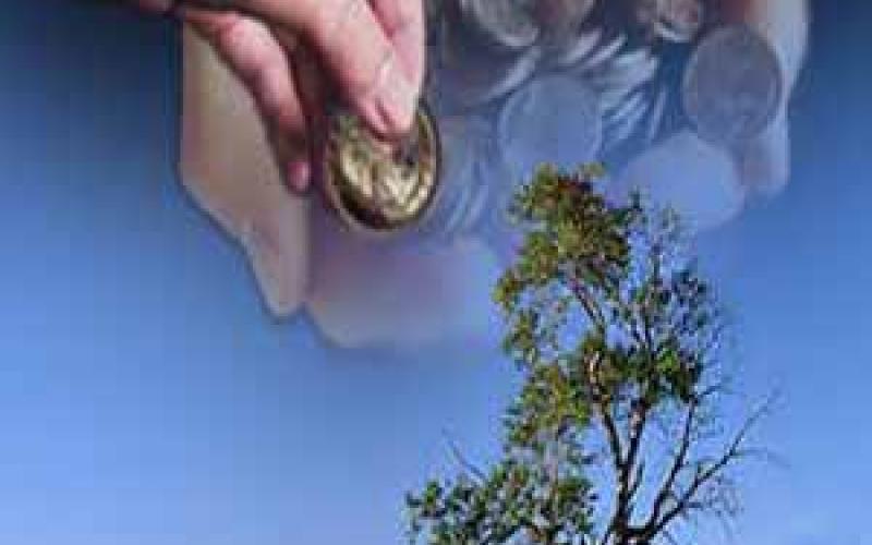 الإفتاء: زكاة الفطر 150 قرشاً كحد أدنى 