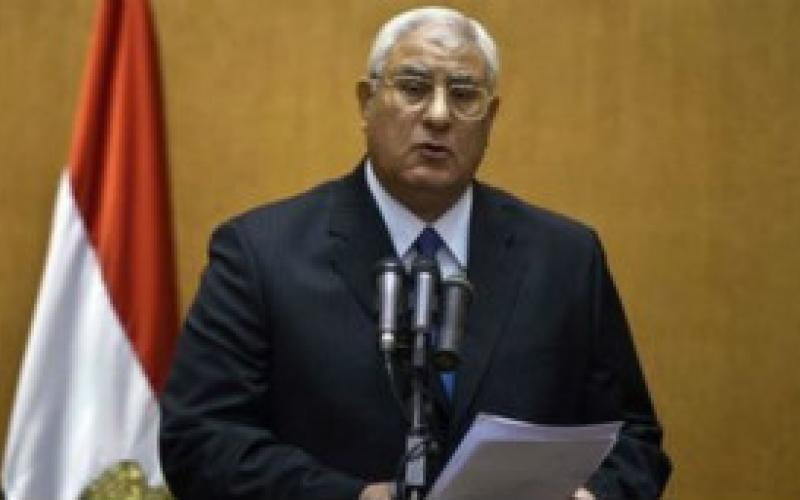الرئيس المصري المؤقت يقرر اجراء انتخابات تشريعية قبل 2014