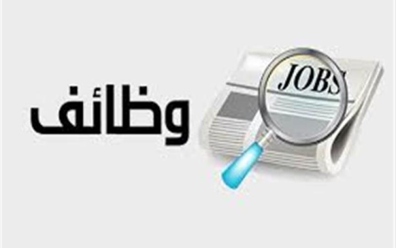 فرص عمل للفتيات في ذيبان