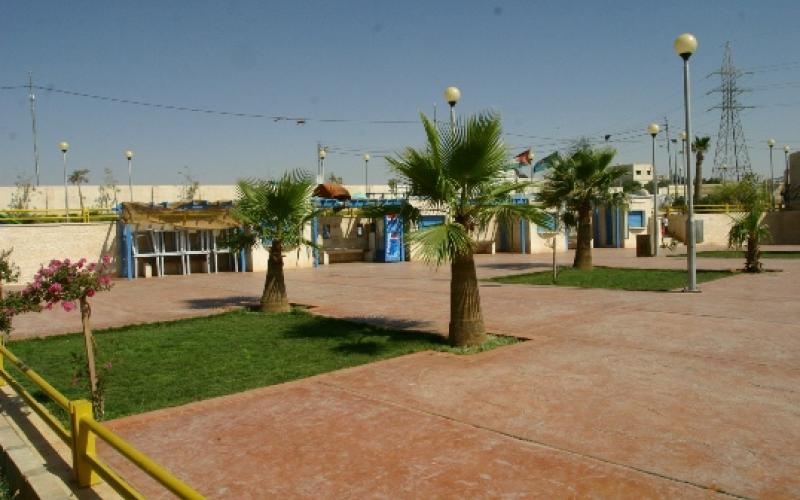 فرقة صينية في حدائق الملكة رانيا العبدالله