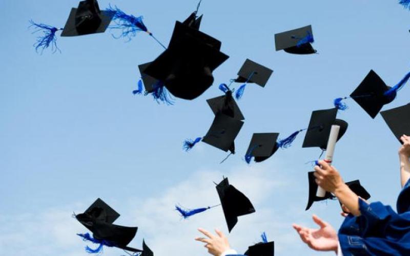 دراسة: 97% من الشركات تفضل توظيف حملة البكالوريوس