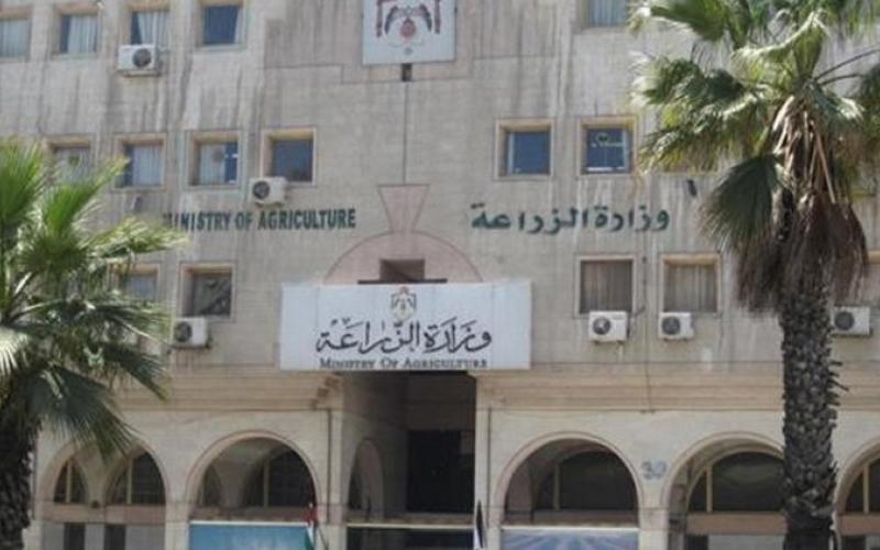 الزراعة: لا بلاغات إماراتية رسمية بوقف الاستيراد من الأردن