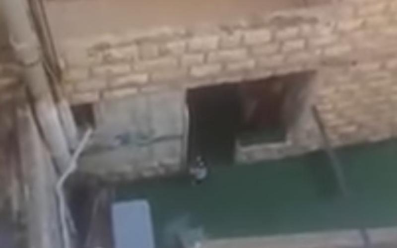 إغلاق حضانة بعد الإساءة لطفلة