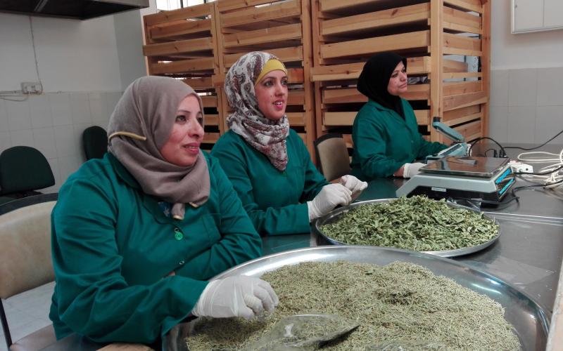 ضانا.. مساحة خلابة لتمكين المرأة