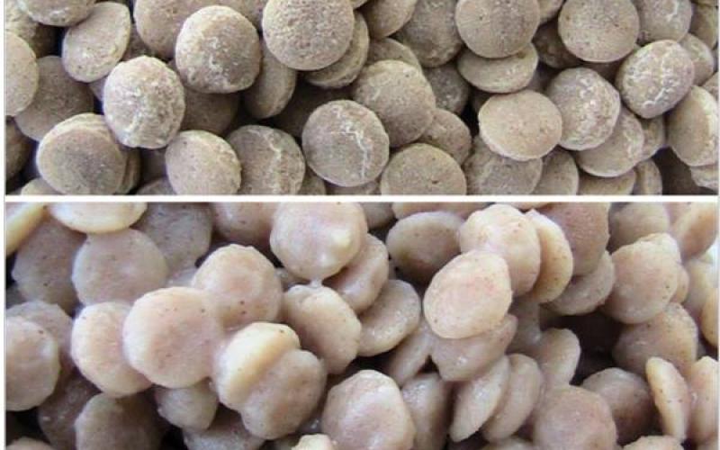 باحث ينتج بديلاً غذائيا عن العدس