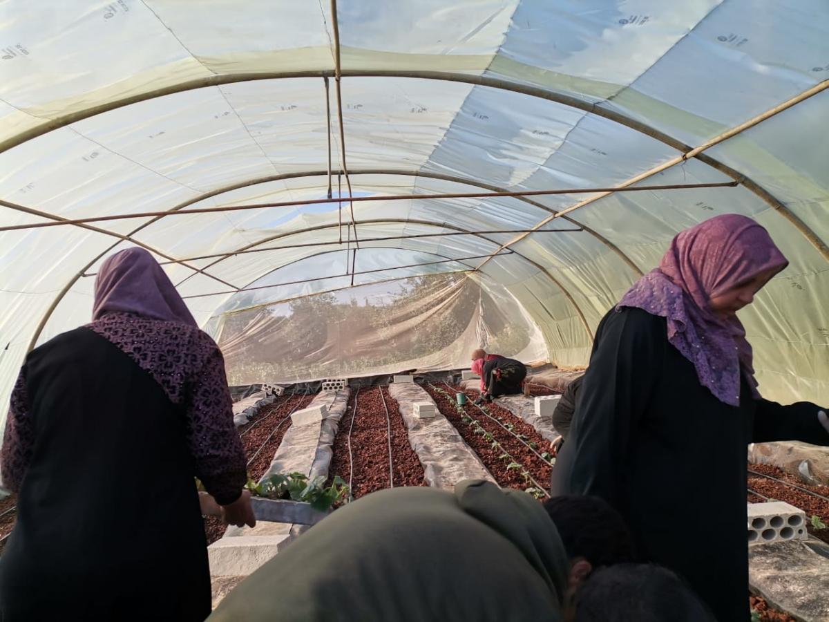 خمس نساء سوريات ينجحن بمشروع زراعة مائية.. تعرف إلى قصتهن