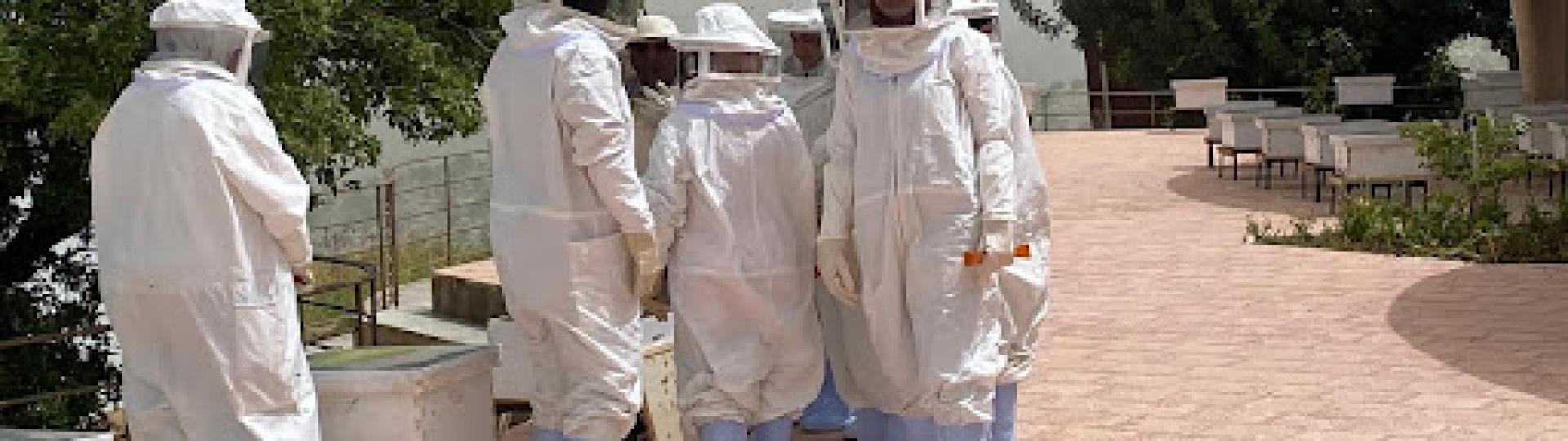 الصورة من مدير محمية اليرموك - محمد ملكاوي