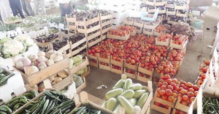 2167 طن خضار وفواكه ترد للسوق المركزي 2167 طن خضار وفواكه ترد للسوق المركزي