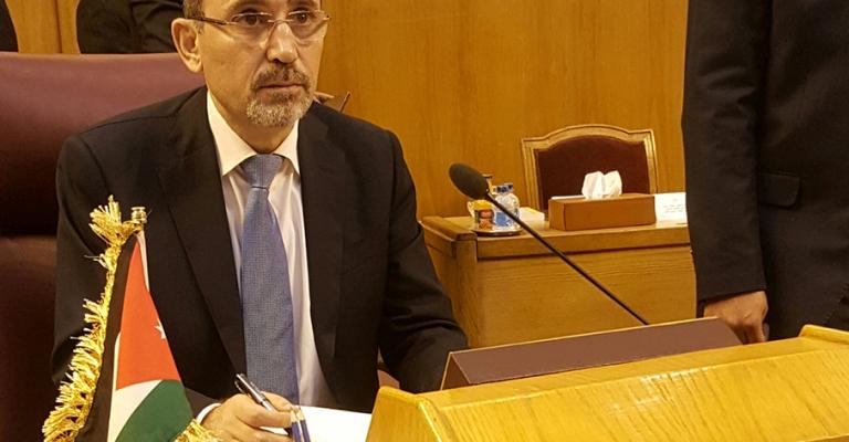 الصفدي: لا بديل عن حل الدولتين