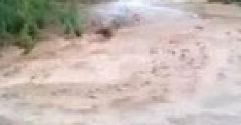 العثور على جثة طفلة غارقة بدير علا