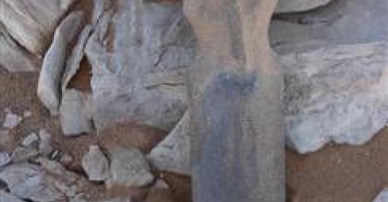 اكتشاف تمثال بازلتي عمره 6000 سنة