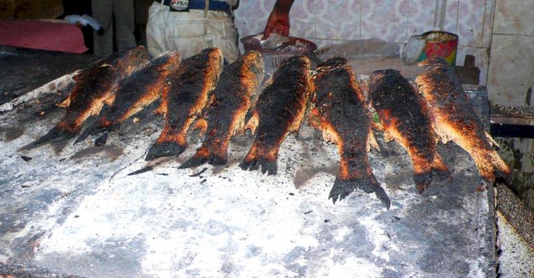 تحذير من شراء اسماك مشوية من وسط البلد عمان ( فيديو)