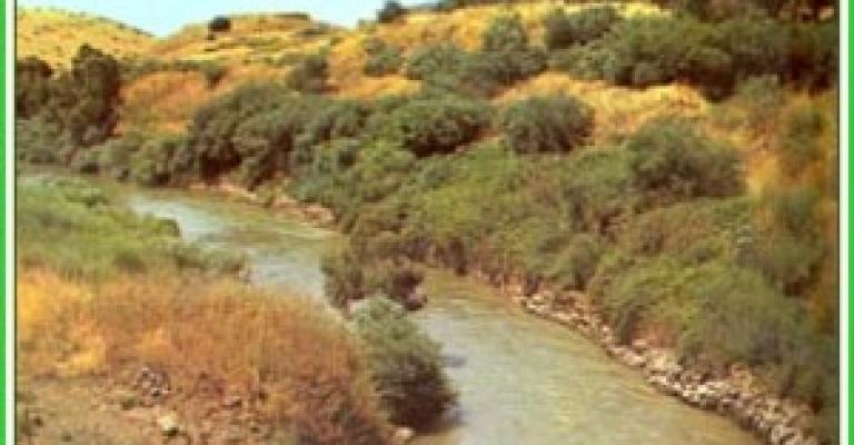 لمحة: رح تصوِّت؟