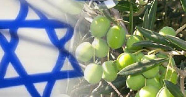 IAF deplores importing olive to Israel