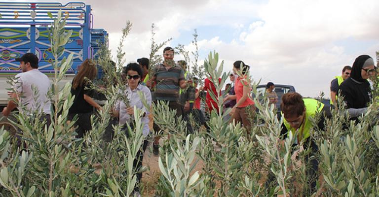 A Jordanian 350.org Work Party: Planting Trees In Mafraq