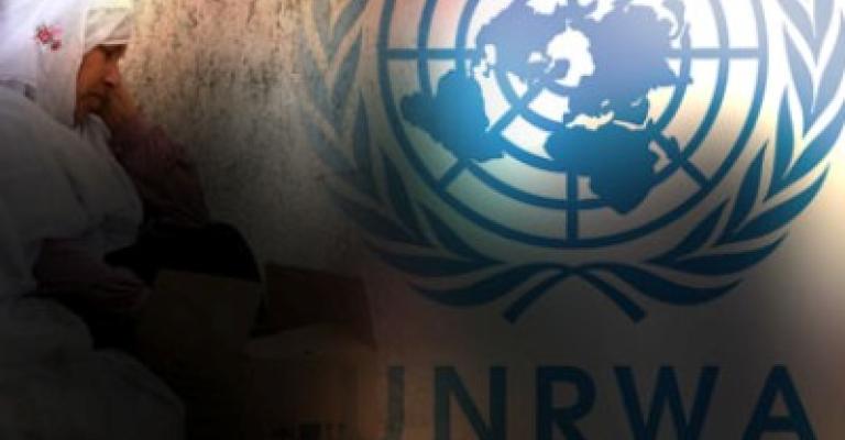 UNRWA’s Whitley apologizes about right to return statements
