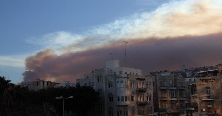 إسرائيل تطلب مساعدة أردنية لإخماد حريق بمنطقة الكرمل 
