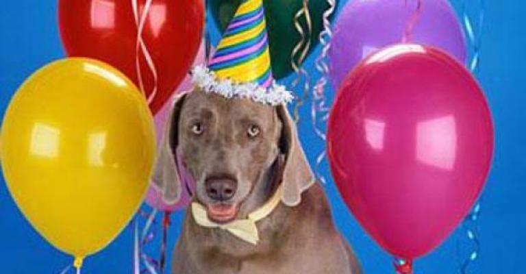Female spends USD42000 on dog’s birthday party
