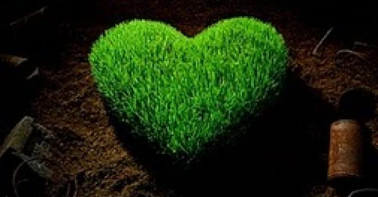 القلب الأخضر