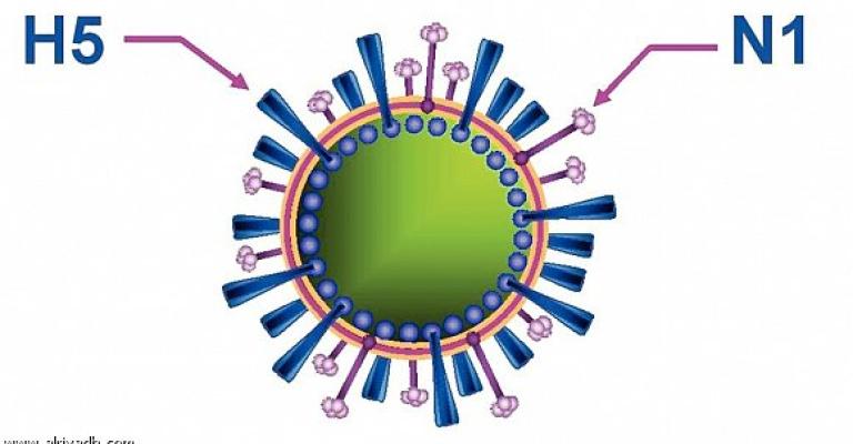 مواصلة الإجراءات الوقائية والتشخيصية لمرض انفلونزا H1N1