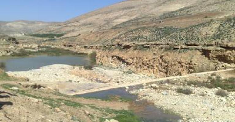 Citizens of Madaba call for a solution to water problems
