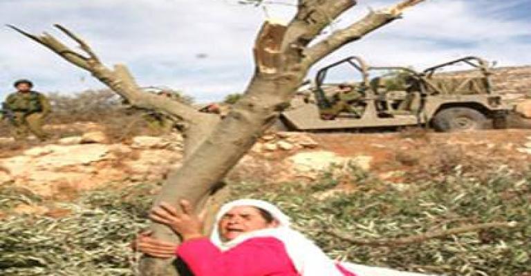 حشد في ذكرى يوم الأرض الثورات تصب في صالح القضية الفلسطينية